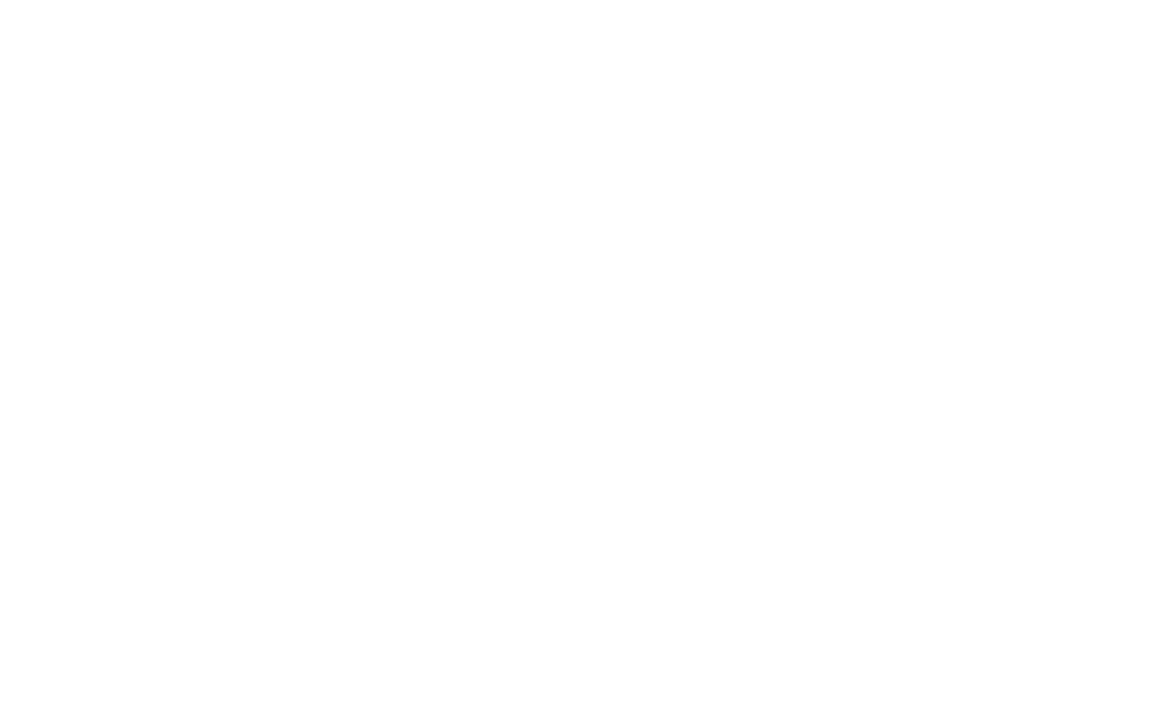 Dendermonde Logo - White
