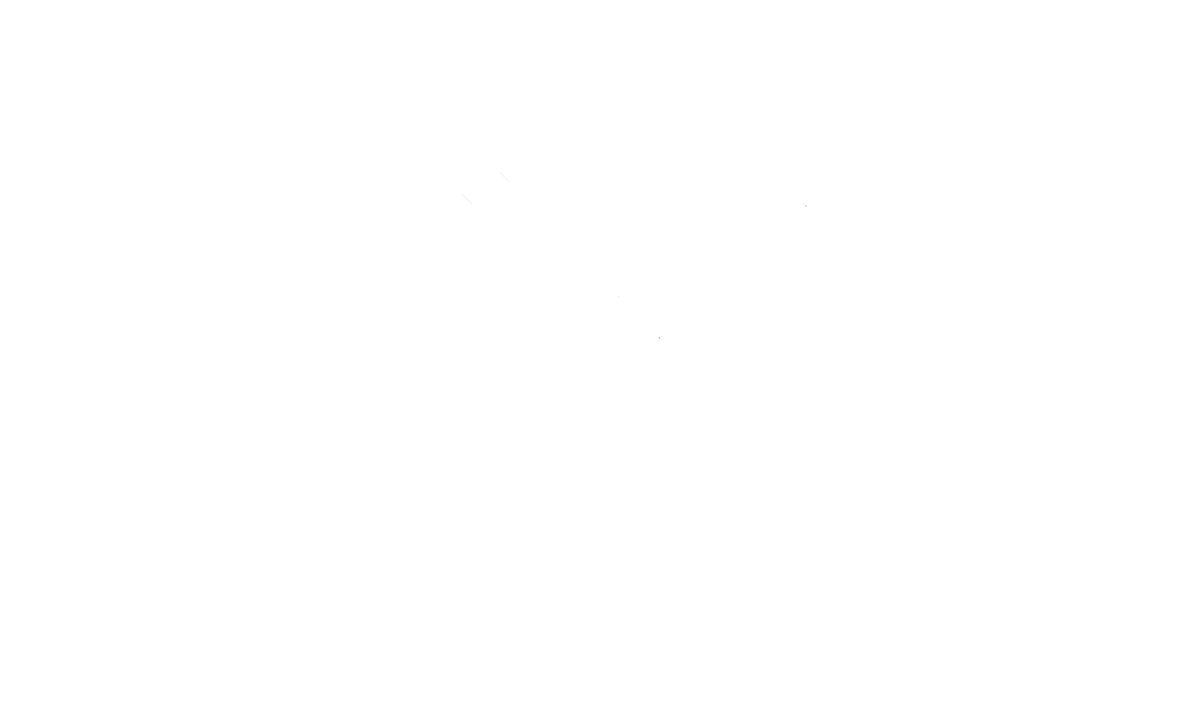 RIPE NCC Logo - White