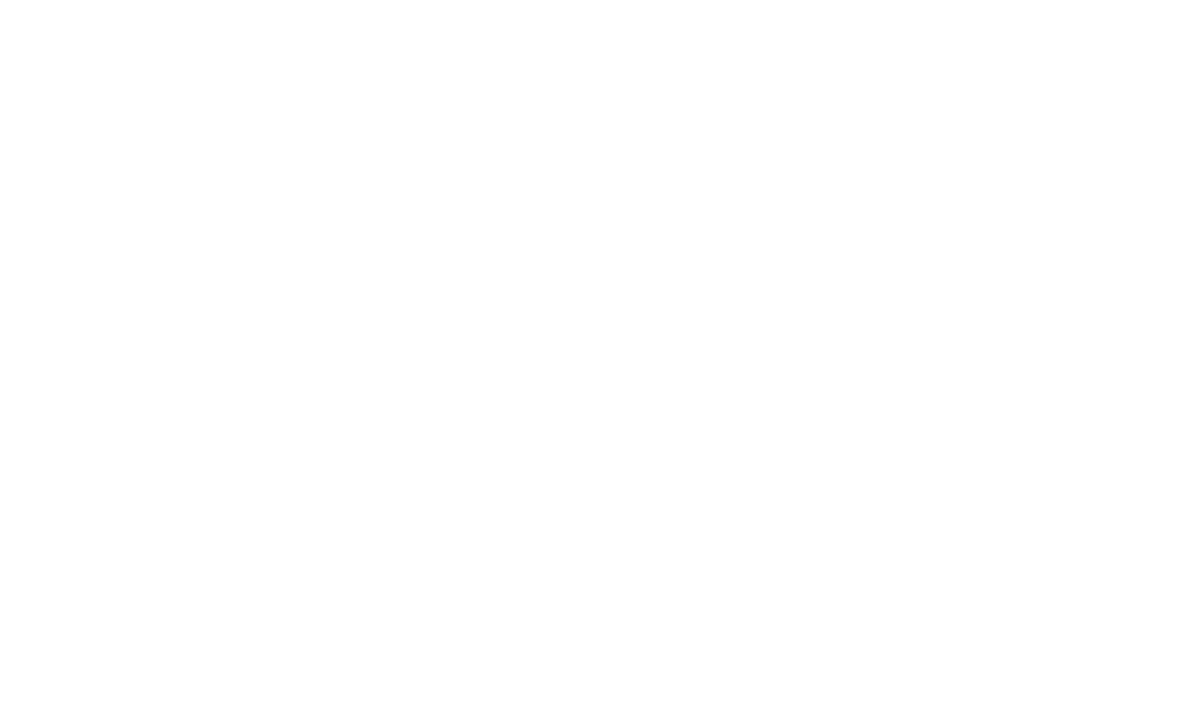 Sabena Engineering Logo - White