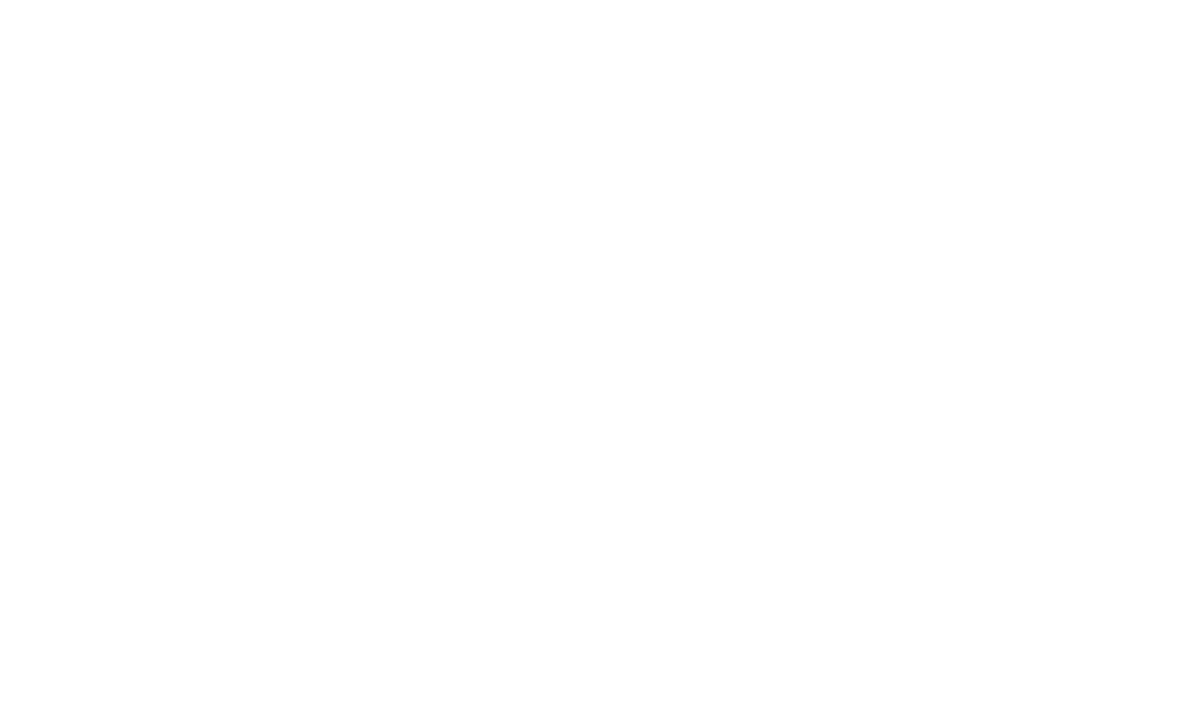 VLAIO Logo - White
